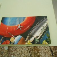 Decora��o - Placas